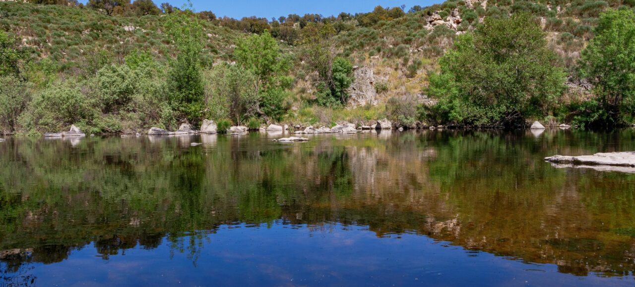 Côa River - Ermo das Águias rewilding area