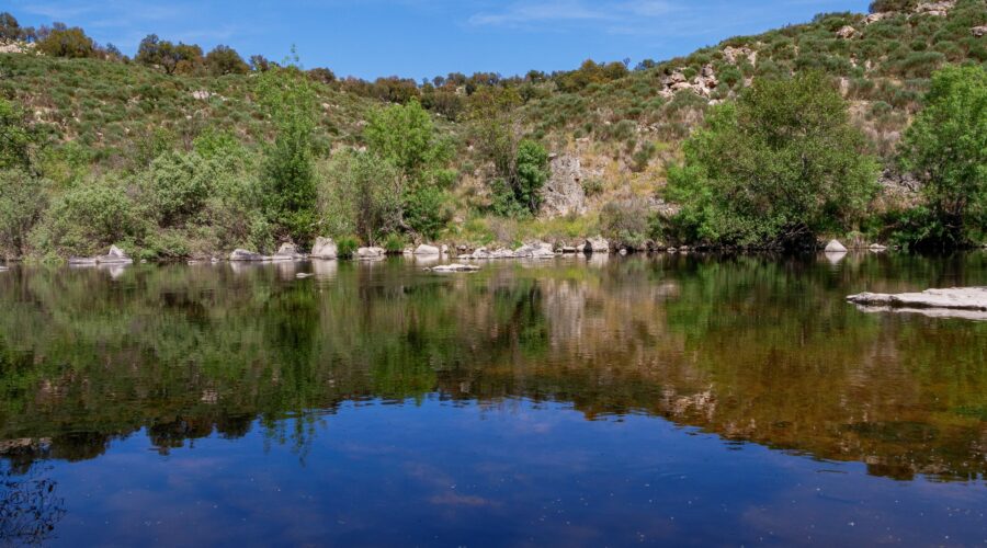 Côa River - Ermo das Águias rewilding area