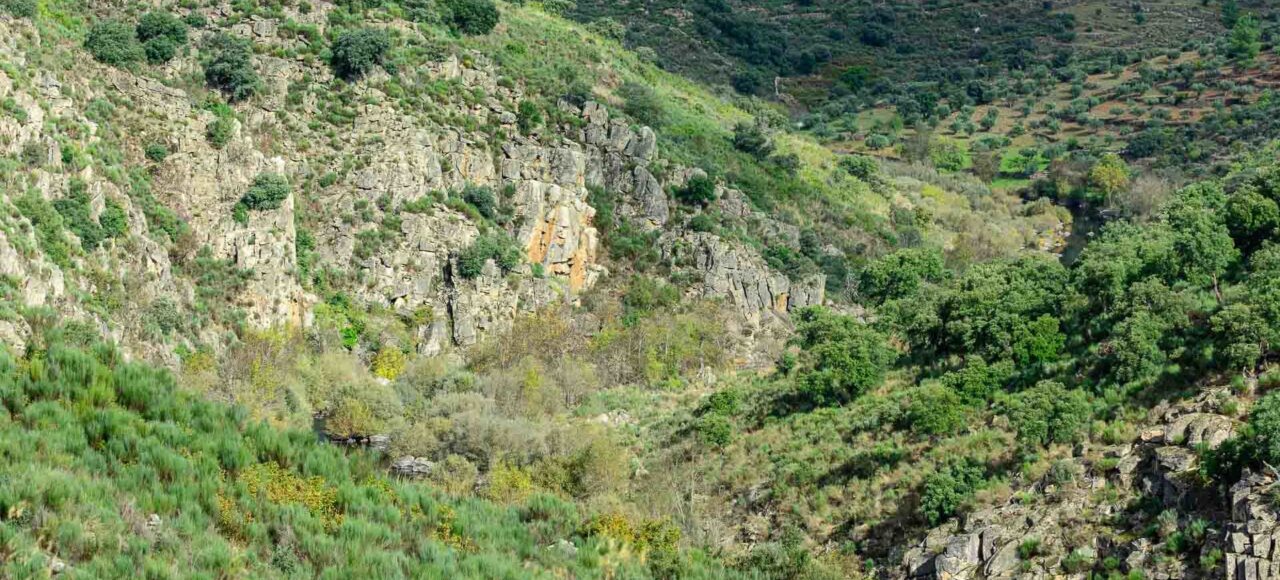 Côa Valley - Ermo das Águias rewilding area