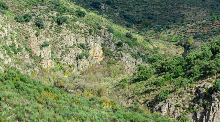 Côa Valley - Ermo das Águias rewilding area
