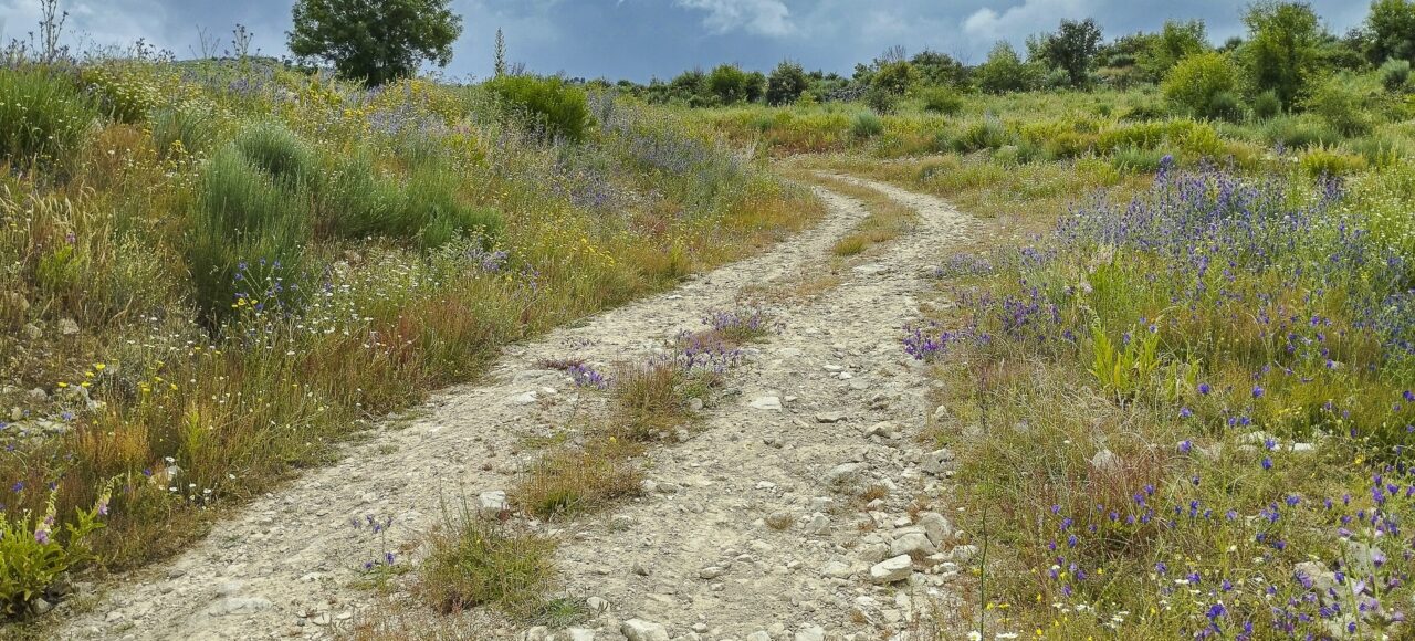 Spring  - Ermo das Águias rewilding area