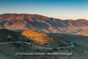 Douro Internacional Nature Park