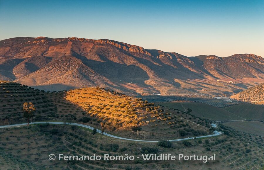 Douro Internacional Nature Park