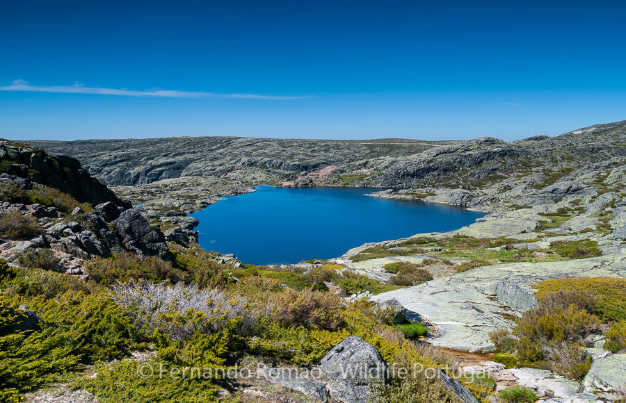 Estrela Mountain Natural Park