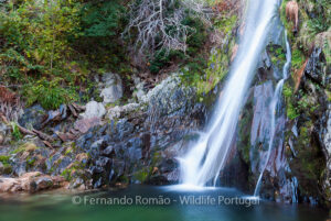 Estrela Mountain Natural Park