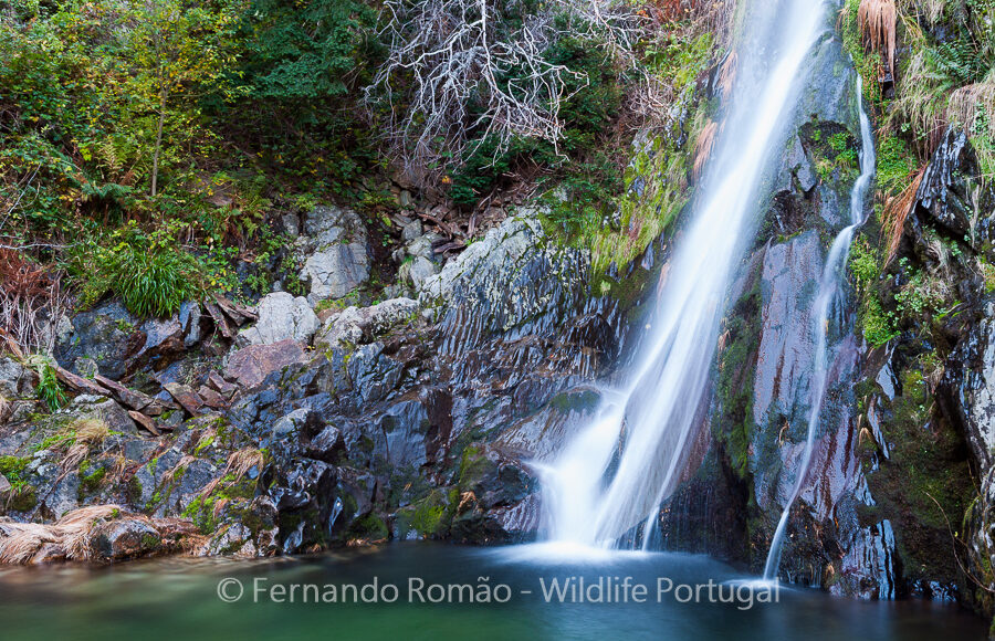 Estrela Mountain Natural Park