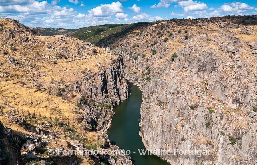 Douro Internacional Nature Park