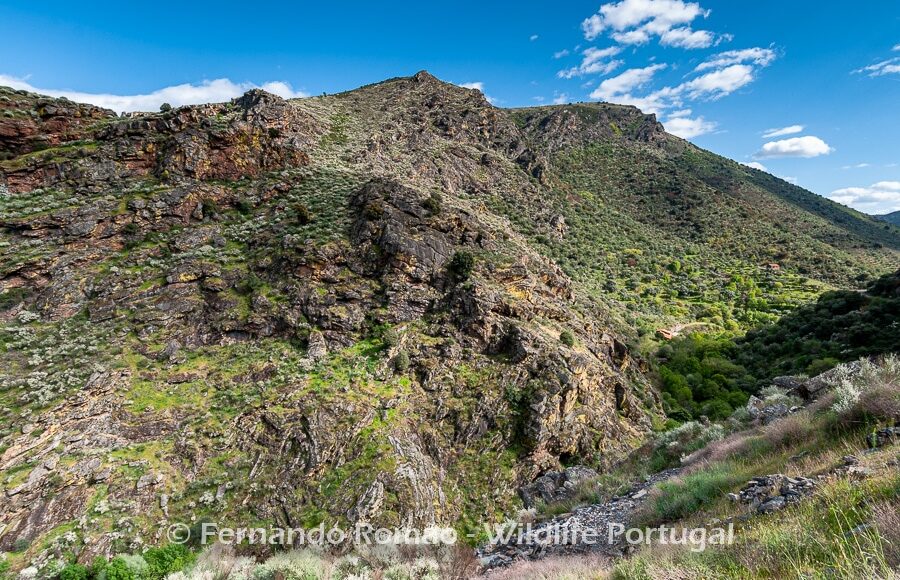 Mosteiro stream valley