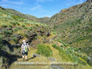 Hiking at Alpajares CausewayDouro Internacional