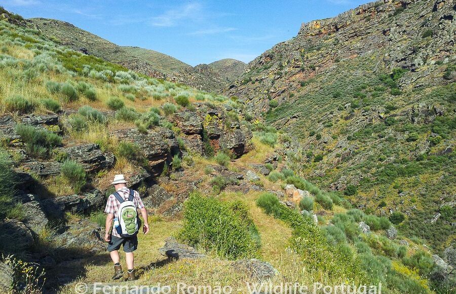 Hiking at Alpajares CausewayDouro Internacional