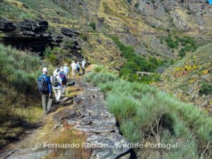 Mosteiro Stream HikingDouro Internacional Natural Park