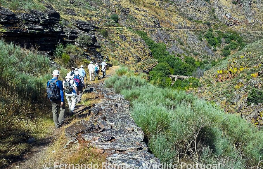 Mosteiro Stream HikingDouro Internacional Natural Park