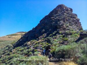 Mosteiro Stream HikingDouro Internacional Natural Park