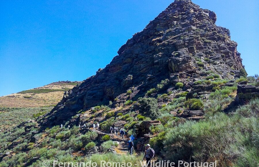 Mosteiro Stream HikingDouro Internacional Natural Park