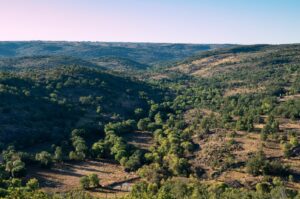 Vale Carapito rewilding area