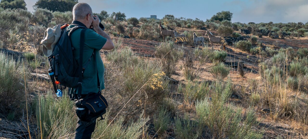 Photo tour in Vale Carapito rewilding area