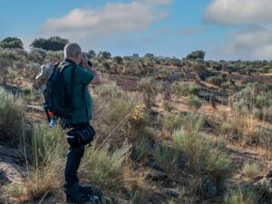 Photo tour in Vale Carapito rewilding area
