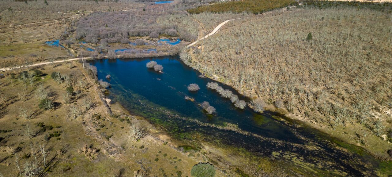 Paul de Toiroes rewilding area