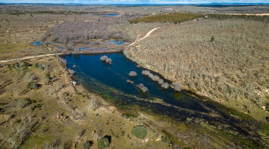 Paul de Toiroes rewilding area
