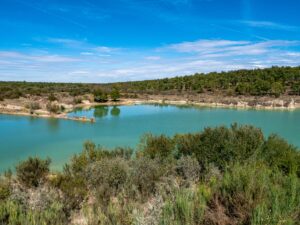 Paul de Toiroes rewilding area