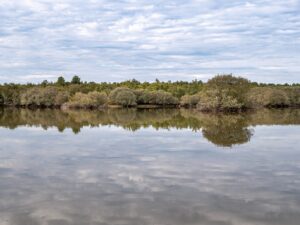 Paul de Toiroes rewilding area