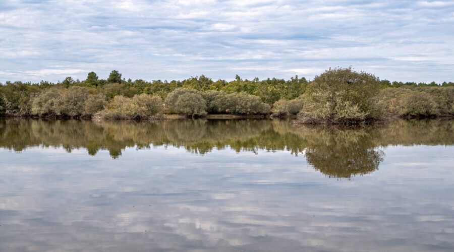 Paul de Toiroes rewilding area