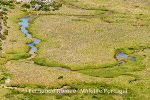 Estrela Mountain Natural Park