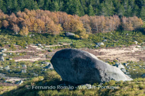 Estrela Mountain Natural Park