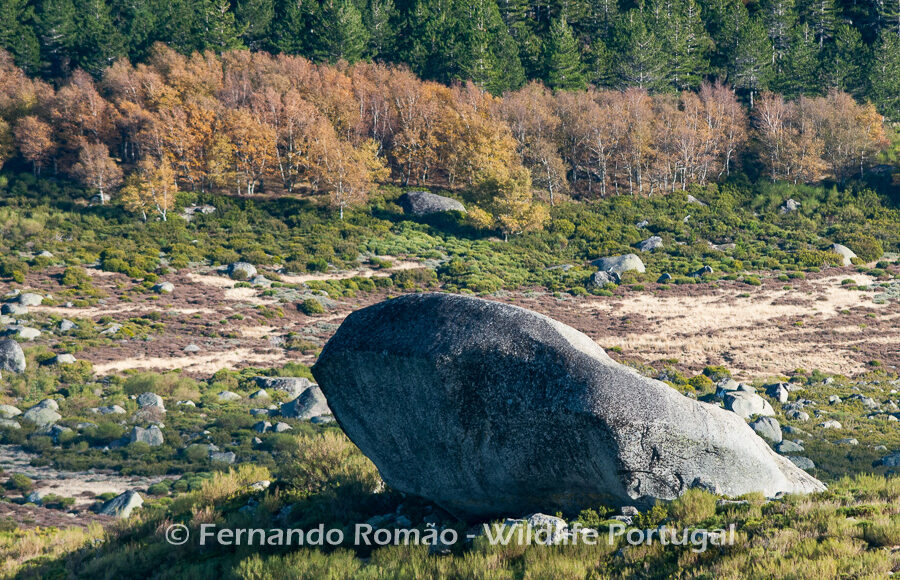 Estrela Mountain Natural Park