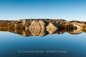 Estrela Mountain Natural Park