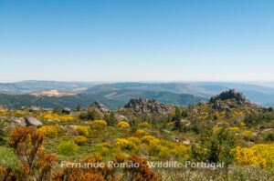 Estrela Mountain Natural Park