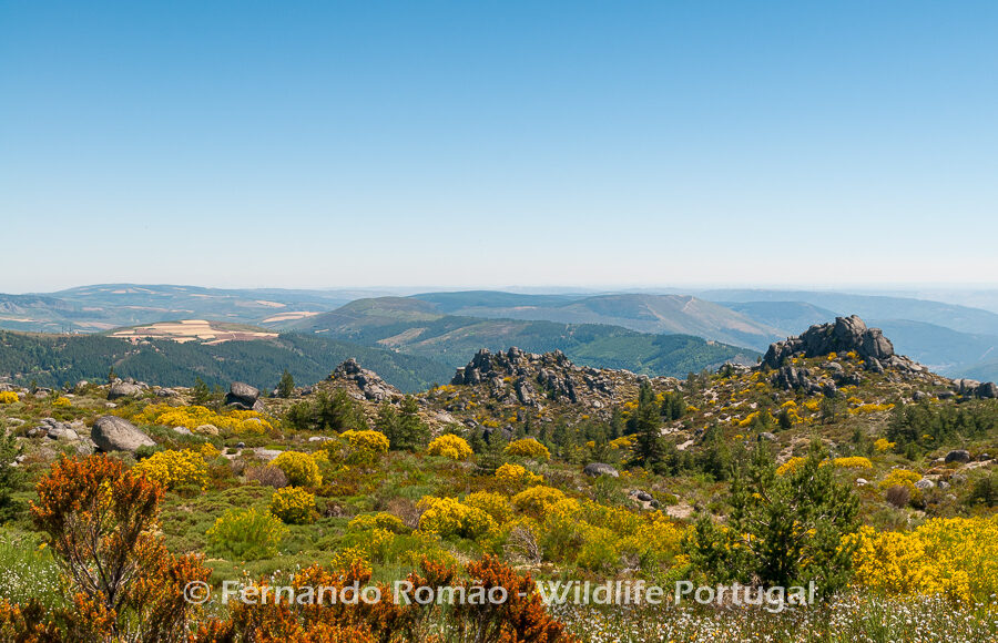 Estrela Mountain Natural Park