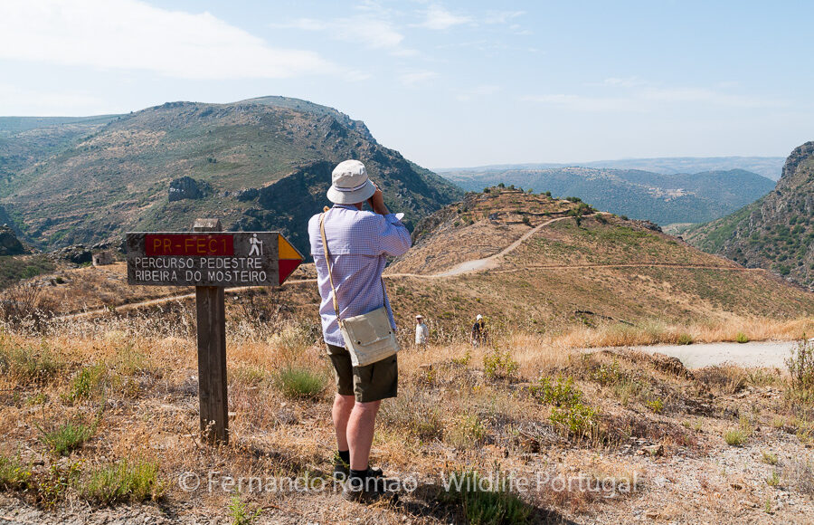 Hiking at Alpajares CausewayDouro Internacional