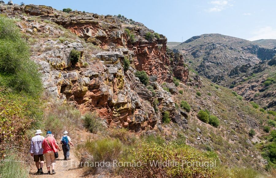Hiking at Alpajares CausewayDouro Internacional