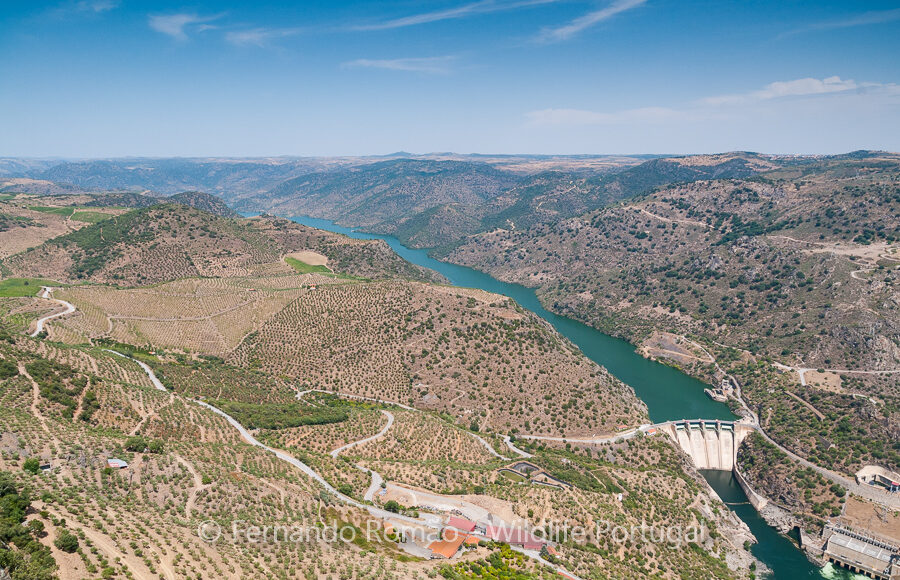 Douro Internacional