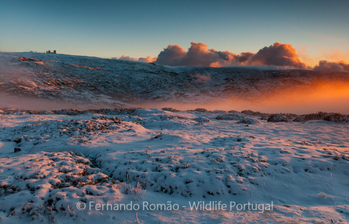 FMR2215 Foto Tour Serra da Estrela