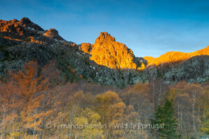 Estrela Mountain Natural Park