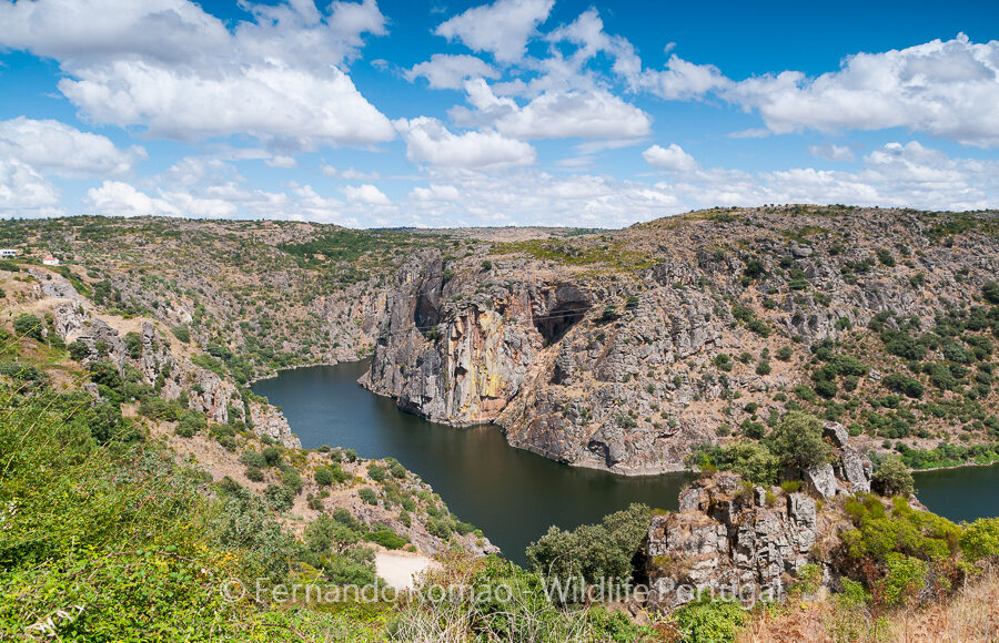 Douro River Canyon
