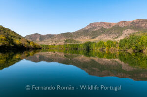 Douro River