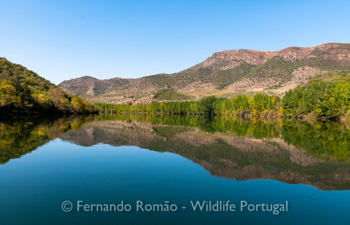 Douro River