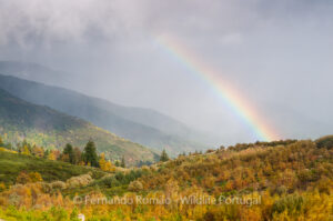 Estrela Mountain Natural Park