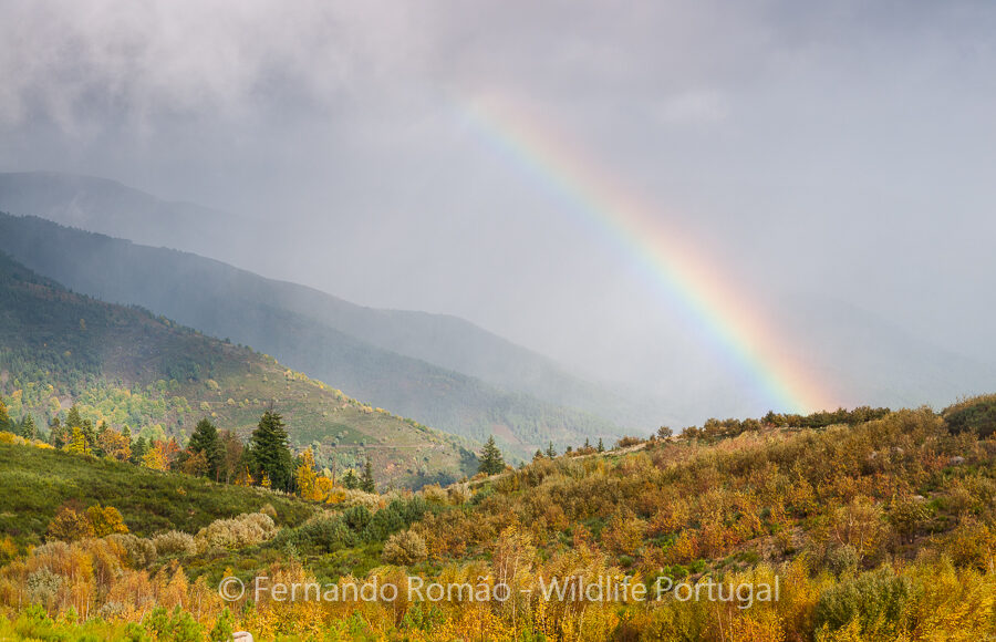 Estrela Mountain Natural Park