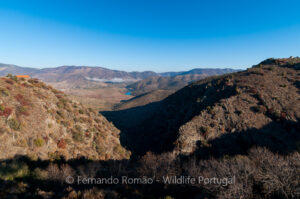 Douro Internacional Nature Park