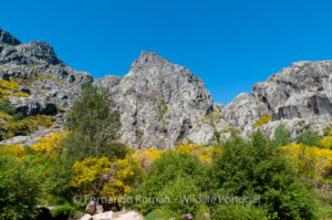 Estrela Mountain Natural Park