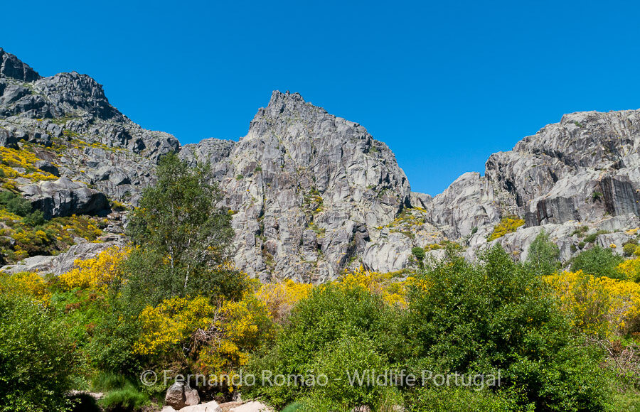 Estrela Mountain Natural Park