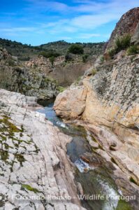 Ermo das Águias Rewilding Area