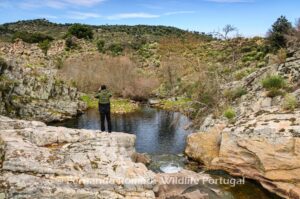 Ermo das Águias Rewilding Area