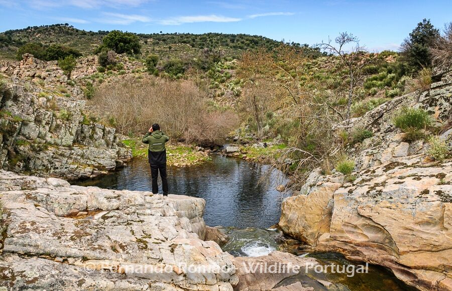 Ermo das Águias Rewilding Area