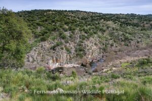 Ermo das Águias Rewilding Area