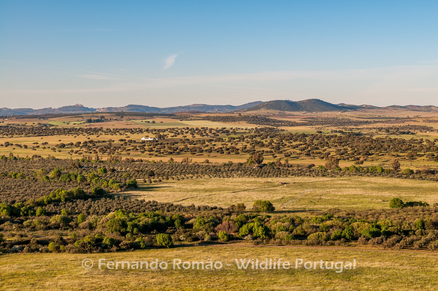 Campo Maior